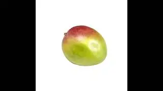spinning Mango
