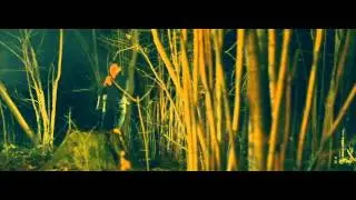СВСМ - Эшафот (Official video)