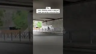 DAR CREW на выезде 😎😅