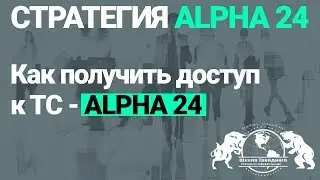 Как получить доступ к ТС Alpha-24. Стратегия Alpha-24.