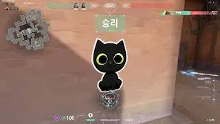프리미가 되고싶은 남자의 매드무비