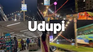 Shopping at Udupi Dmart 🛒 | Best Deals & Experience in Udupi #shendiaries 