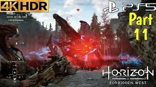 Seeds of the Past - Horizon Forbidden West PS5 Walkthrough Gameplay Part 11 FULL GAME (4K 60FPS HDR)