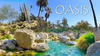 Journey to OASIS (Self-Guided Meditation)