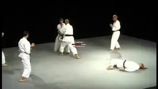 Bunkai Heian Nidan