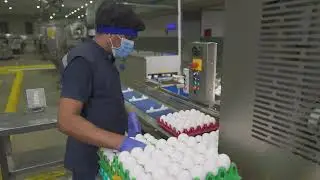 How to Henfruit Egg Processing & Packaging | Clean & Sanitized Eggs