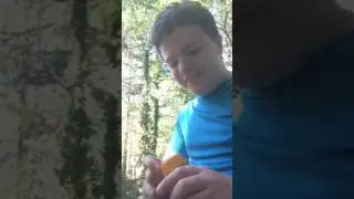 Lemon pepper challenge!