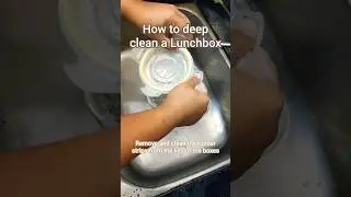 How to deep clean a #Lunchbox | Remove and clean the rubber strips #shorts #cleaning #cleaningtips