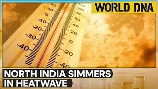 Heatwaves scorch North India, IMD issues red alert | WION World DNA