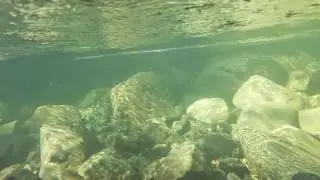 Camping on the Cle Elum River