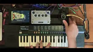 Momentary DOLG + Casio SA-20