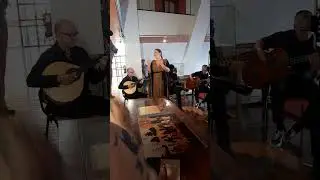 Echoes of Saudade: The Soul of Portuguese Fado #fado  #lisboa #lisbon
