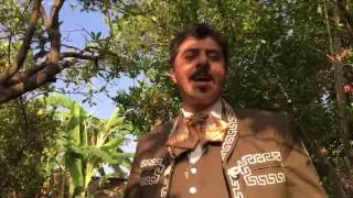 Cotija Mariachi Sol de Jalisco de Luis Ruiz &ldquo;La renca&rdquo;