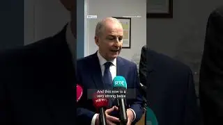 Violent political extremism moved to organised approach - Taoiseach