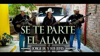 SE TE PARTE EL ALMA