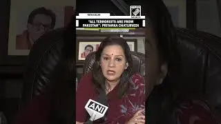 &lsquo;All terrorists are from Pakistan&rsquo;: Shiv Sena MP Chaturvedi on Chidambaram&rsquo;s statement