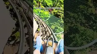 Alpine coaster ride at Kristiansand Zoo📍🇧🇻 #alpinecoaster #kristiansandzoo #norway #funride #zoo