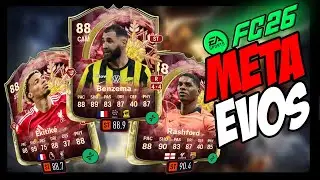META PLAYERS for 
