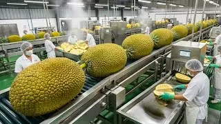Proceso de producci&oacute;n de carne vegetal tipo cerdo hecha de yaca en una f&aacute;brica moderna