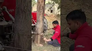 Bending Metal, Testing Wits: When the Tractor Meets the Tree