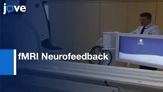 fMRI Neurofeedback Training protocol | Protocol Preview