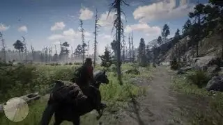 RDR2 - I Geysers a nord - Northern Geysers