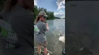 Bowfishing the Backwaters of the Tennessee River #shorts #outdoors #bowfishing #fishing #hunting