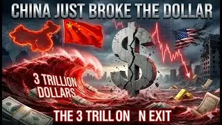 China&rsquo;s Three Trillion Dollar Exit and the Reserve Currency Shift