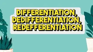 Differentiation, dedifferentiation and redifferentiation| NCERT NOTES| NCERT 2026| #komalgarg 