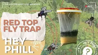 The Ultimate Guide to Getting Rid of Flies in Your Garden