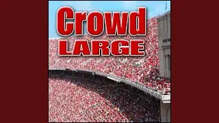Crowd, Hall - Large University Lecture Hall: Heavy Crowd Ambience, Schools & Playgrounds