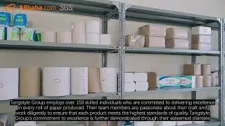 The Leading Tissue Paper Manufacturers in China - Tangstyle Group