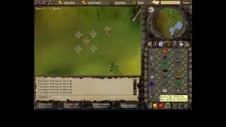 Level 90 Hunter