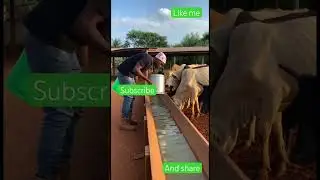 My farm is my fortune 🔮 let me take care of it. #farmcash #farmworld #everyfarm #farmhero #viral