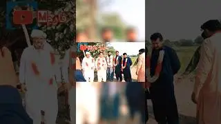 PALBA KA ZEMEDAAR #cow #bull Catal show👆🏻👆🏻👆🏻👆🏻👆🏻👆🏻🖕🖕🖕🖕🖕🖕 #comedy