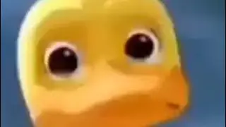 Duck Crying Meme but every time the video ends it gets lower quality