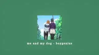me and my dog - boygenius; sped up