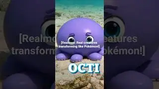 [Realmon: Real creatures transforming like Pokemon!] Octopus vulgaris &rarr; Octi