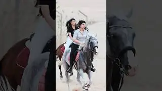 Dubai desert horse racing #horse #equestrianjourney #horserides #horsetrack #horseriding