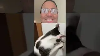 &laquo;Кот связался с НЕ ТОЙ розеткой 🔌⚡ И получил самый большой шок в своей жизни 😳🤣&raquo; #смешно #вирусны...