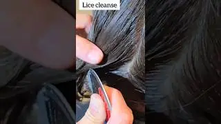 Terminator Hair Care Comb Review | Gentle Comb for Healthy Scalp #licecomb #haircare #haircaretips