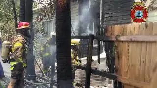 PASCO NEWS: Tampa Fire Rescues Two Cats, Quickly Extinguishes Fire in Two Homes