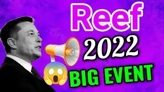 Reef 2022 Events News || Reef Price Prediction! Reef latest News Today