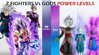 Dragon ball Z/Super All Z Fighters Vs All Gods POWER LEVELS!