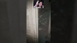 ВСЕХ СЪЕЛИ!👹#shorts #short #youtubeshorts #shortvideo #horror #viralshorts #trending #gaming #fyp