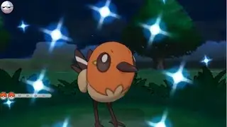 В играх Pokemon X и Y обучающий NPC получает блестящего покемона!