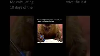 #memes #workhumor #corporate #funny #workjokes #meme #monkey #office #job