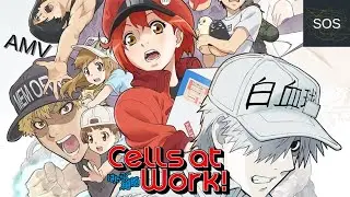 Cells at Work! | AMV
