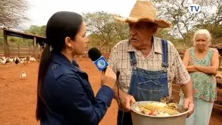 Melhores vídeos de Inteligência Artificial da internet brasileira (TV IAIÁ: 4º Episódio)