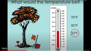 How To Tell Temperature and Read a Thermometer